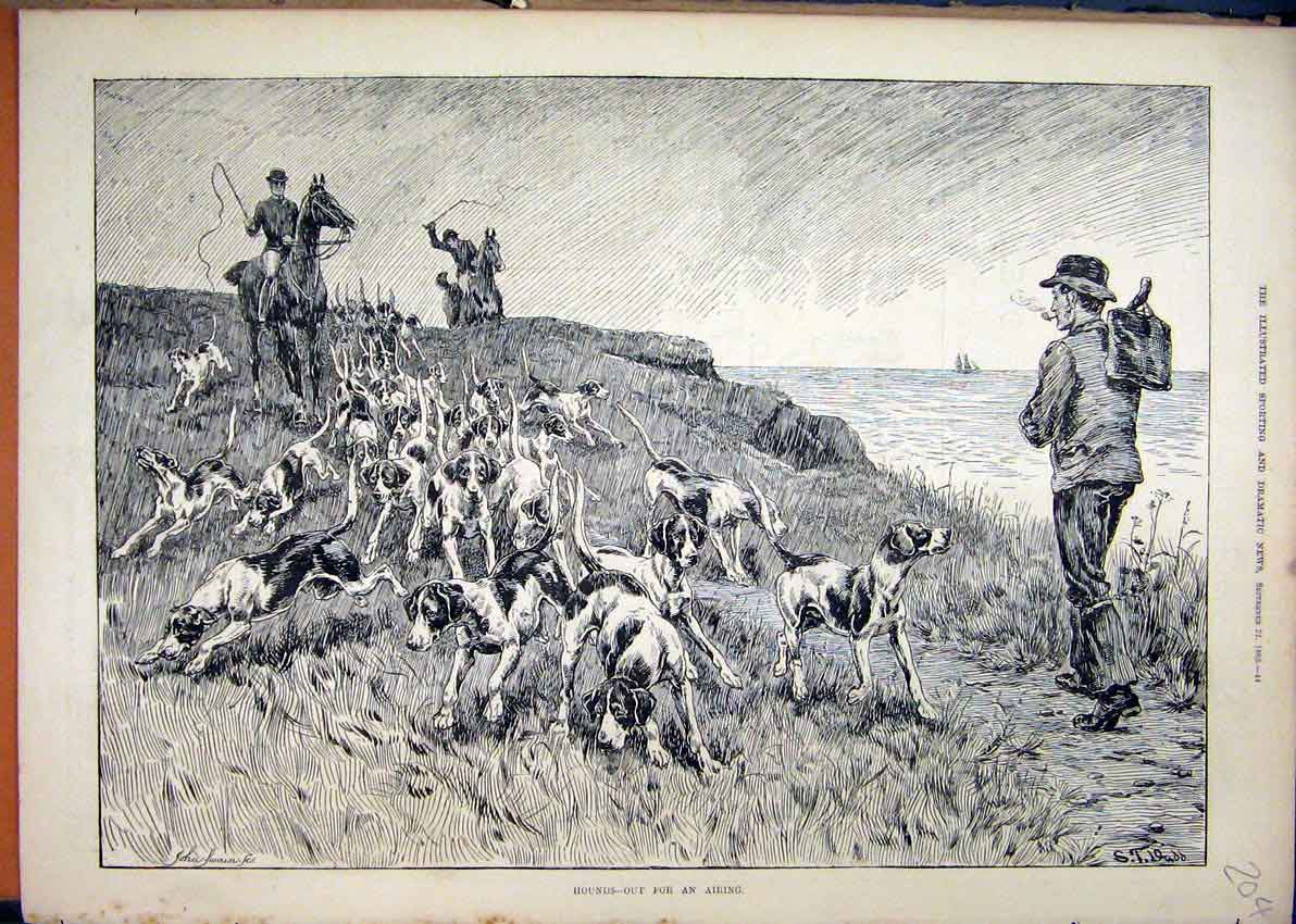 Original Old Antique Print 1883 Dogs Hounds Horses Exercising Sea Coast 19th