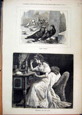 Old Antique Print Fancy Pigeons Birds 1877 Woman Preparing Stage Make Up 19th