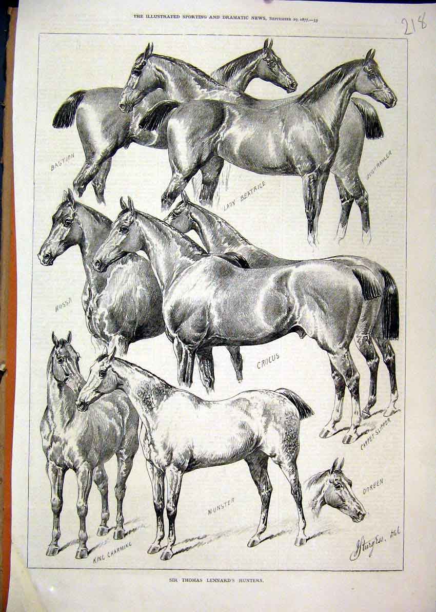 Old Antique Print Thomas Lennard Hunters 1877 Horses Crocus Munster Rossa 19th