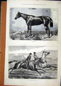 Original Old Antique Print 1874 Horse Flageolet Gallop Racing Country Scene 19th