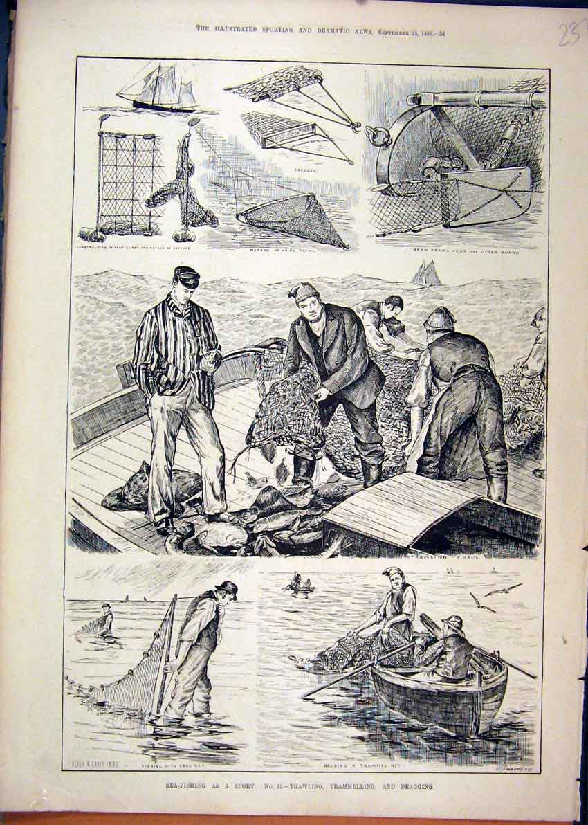 Original Old Antique Print 1886 Sea-Fishing Sport Drag Nets Boat Trammelling