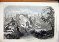 Original Old Antique Print 1877 Hanover Zoo Goats Birds Bulding Ruins Country