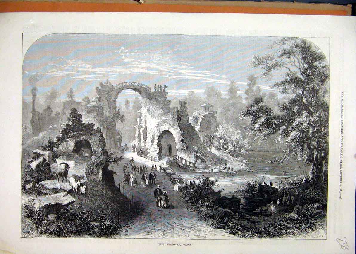 Original Old Antique Print 1877 Hanover Zoo Goats Birds Bulding Ruins Country