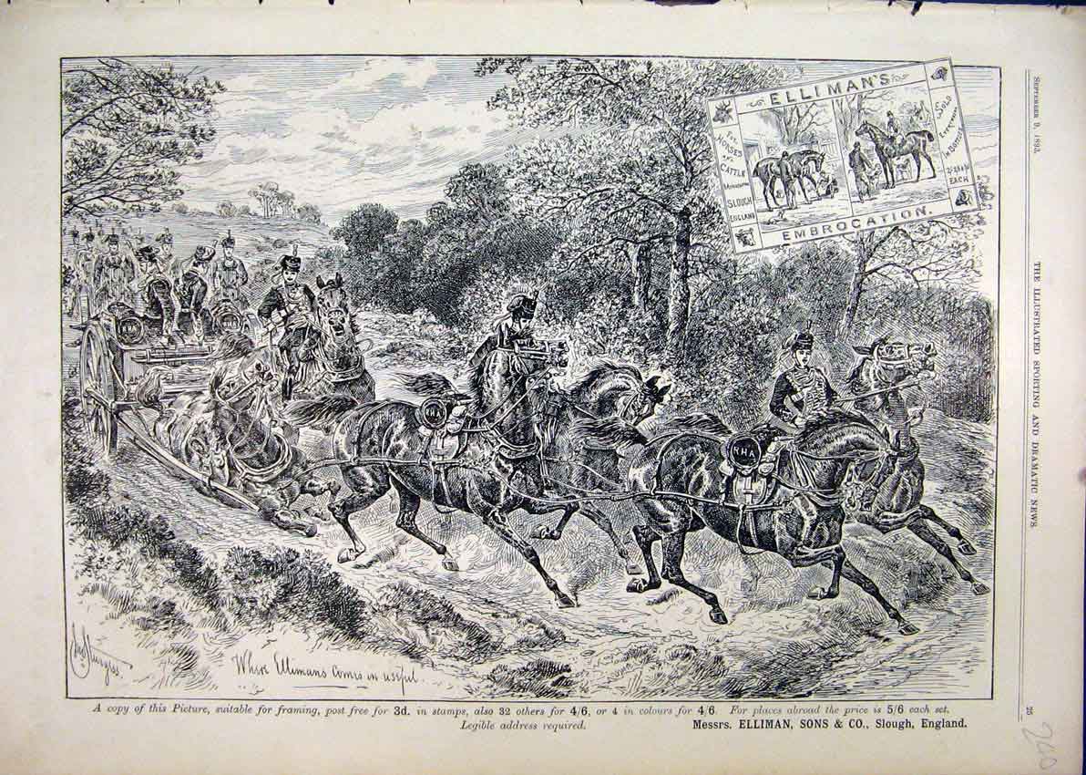 Original Old Antique Print 1893 Advert Elliman Embrocation Horses Carriage 19th