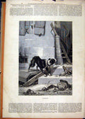 Original Old Antique Print 1878 Dog Looking Deserted Building Stairs Victorian