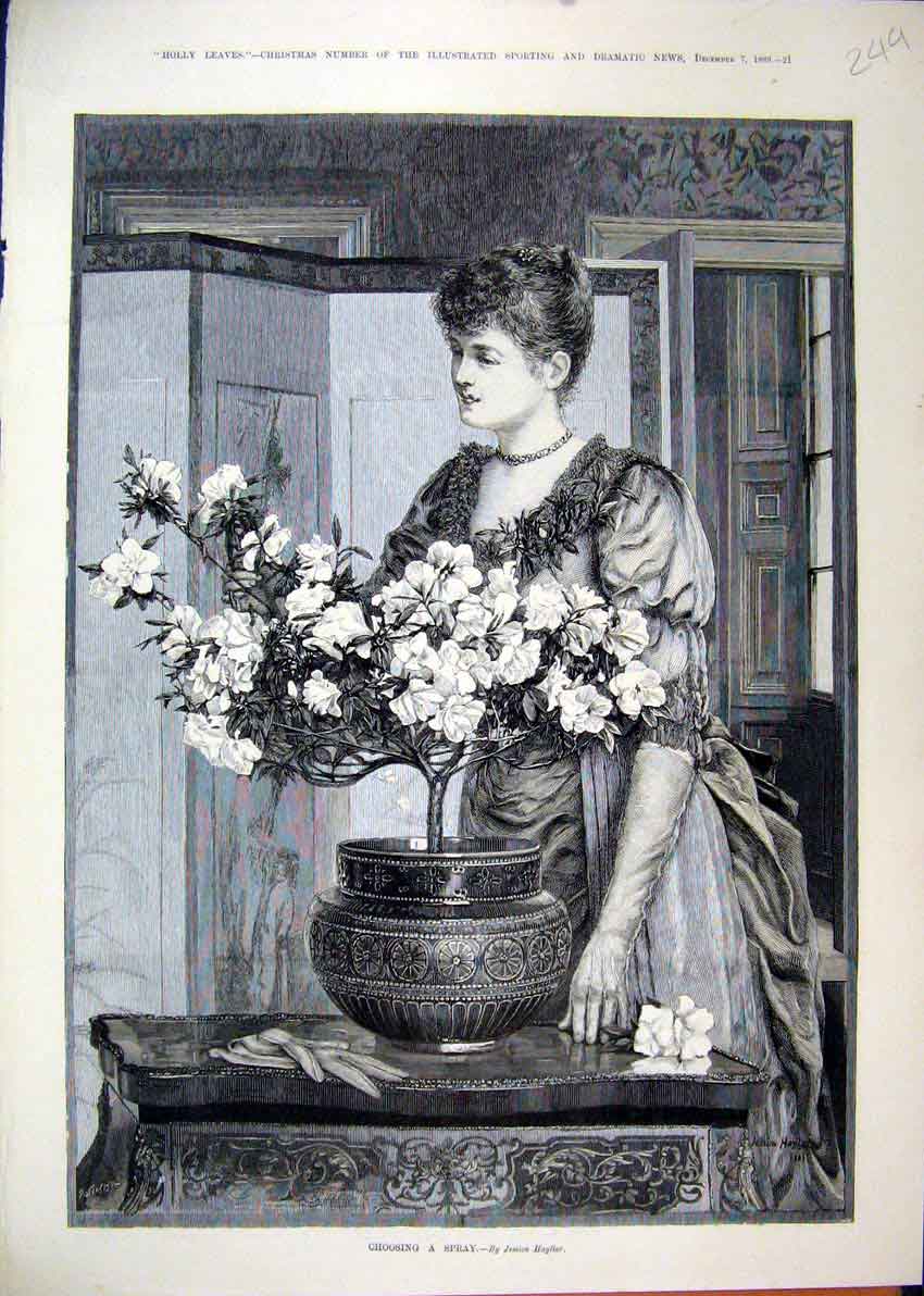 Original Old Antique Print Woman Flower Arranging Table Screen 1889 Victorian