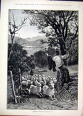 Old Antique Print Boy Climbing Tree 1888 Sheep Dog Man Country Scene Art 19th