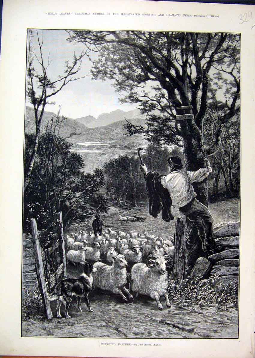 Old Antique Print Boy Climbing Tree 1888 Sheep Dog Man Country Scene Art 19th
