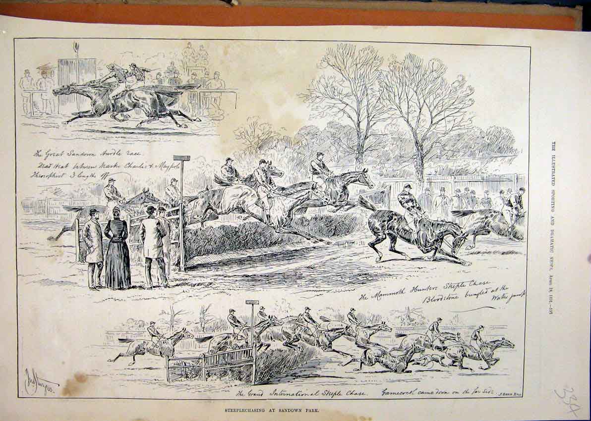 Original Old Antique Print 1891 Steeplechasing Sandown Park Horse Racing 19th