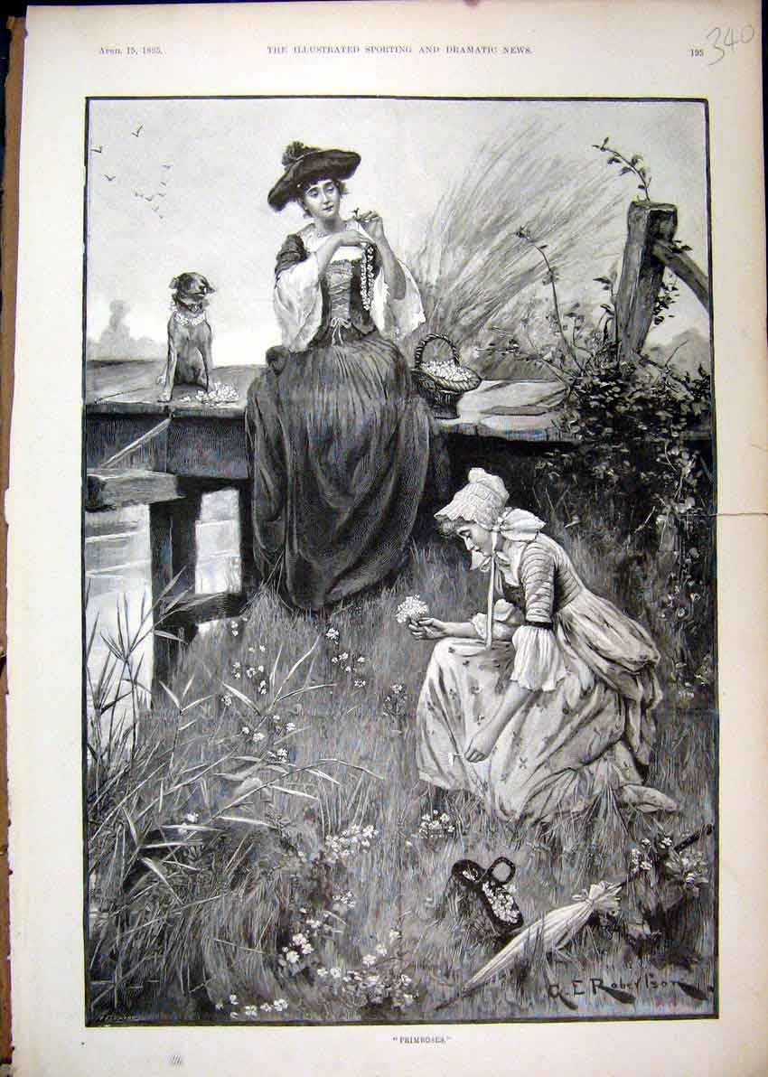 Old Antique Print 1893 Woman Picking Primroses Sitting Bridge Dog Flowers 19th