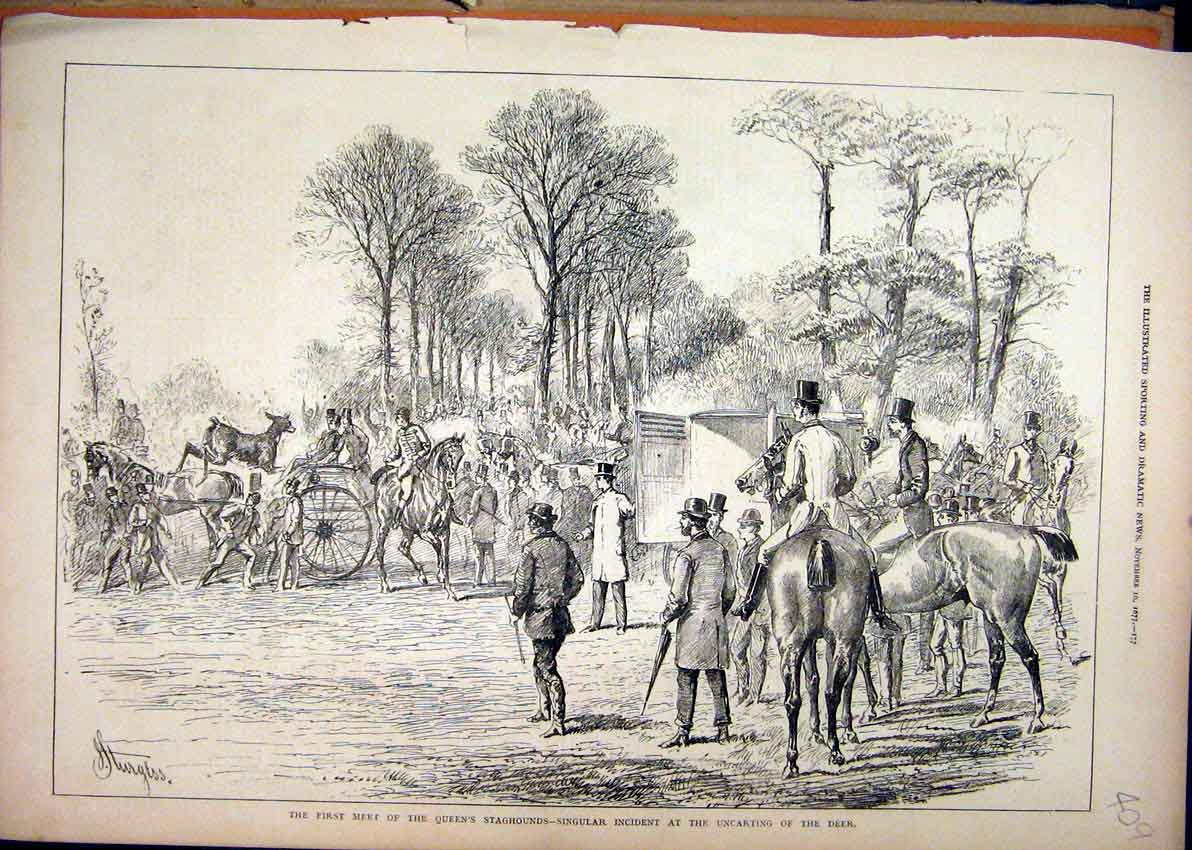 Original Old Antique Print Meet Queens Staghounds 1877 Uncarting Deer Country