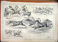 Original Old Antique Print Horse Gymkhana Woolwich 1883 Ball Race Tandem Cheroot