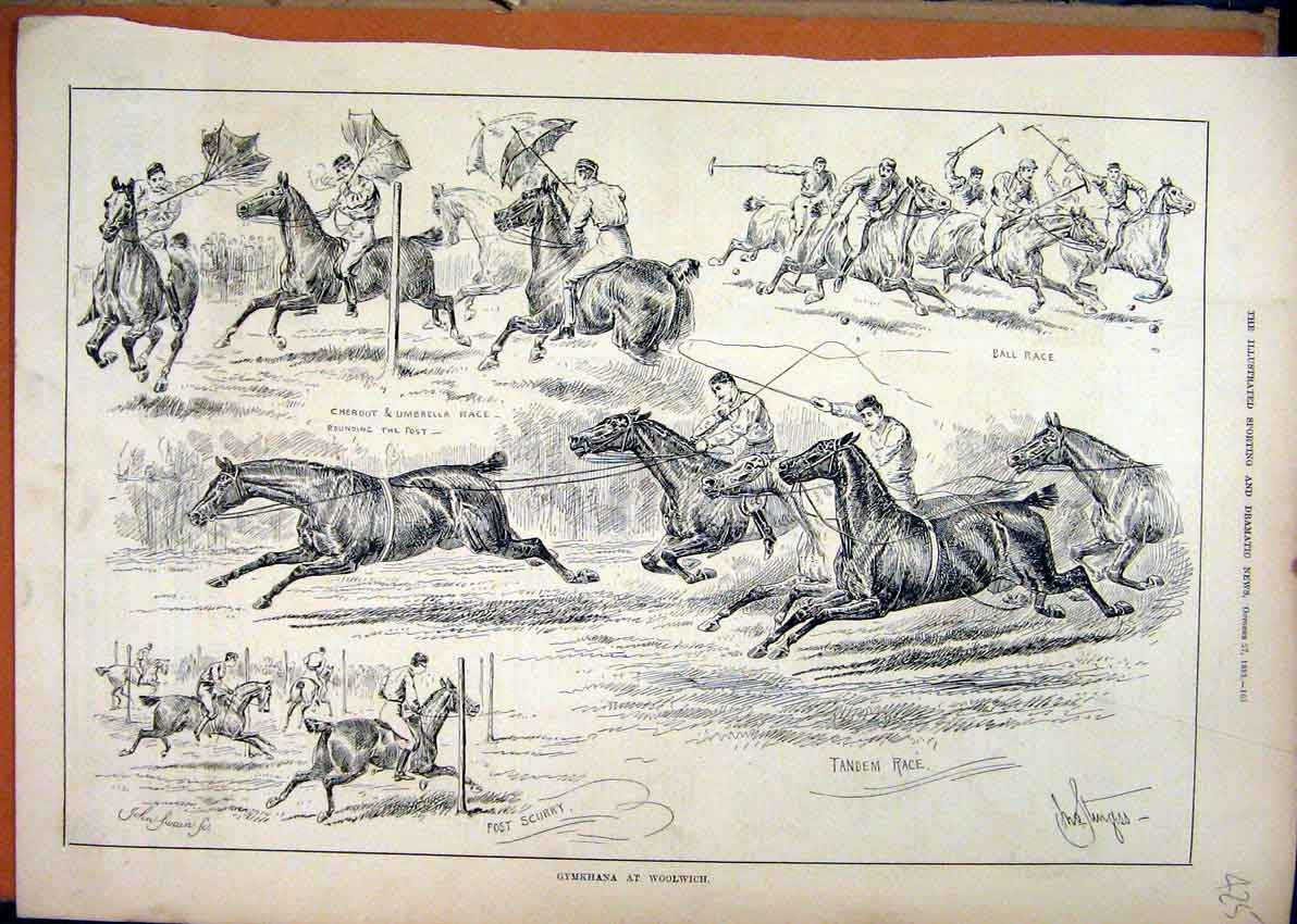 Original Old Antique Print Horse Gymkhana Woolwich 1883 Ball Race Tandem Cheroot