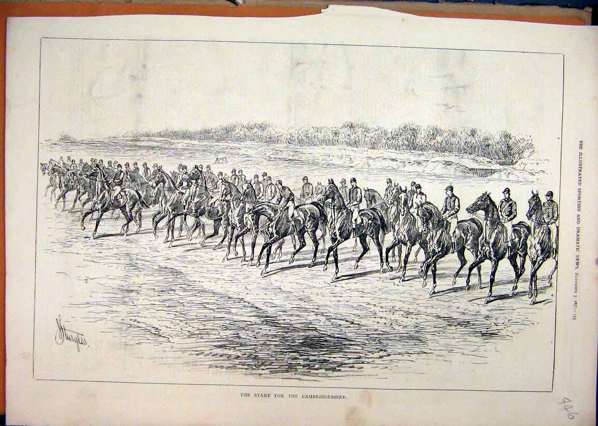 Original Old Antique Print 1877 Cambridgeshire Race Starting Line Horses Country