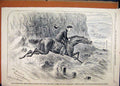 Original Old Antique Print 1889 Advert Ellimans Embrocation Horse Running 19th