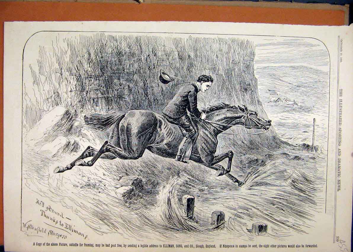 Original Old Antique Print 1889 Advert Ellimans Embrocation Horse Running 19th
