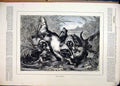 Original Old Antique Print Country Scene 1879 Otter Hunting River Dogs Attacking