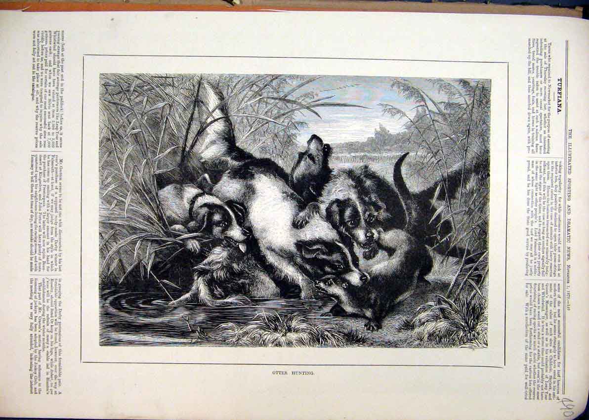 Original Old Antique Print Country Scene 1879 Otter Hunting River Dogs Attacking