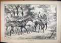 Original Old Antique Print 1886 Man Leading Horse Country Lane 19th