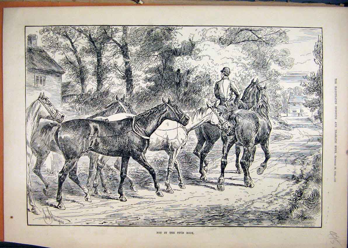 Original Old Antique Print 1886 Man Leading Horse Country Lane 19th