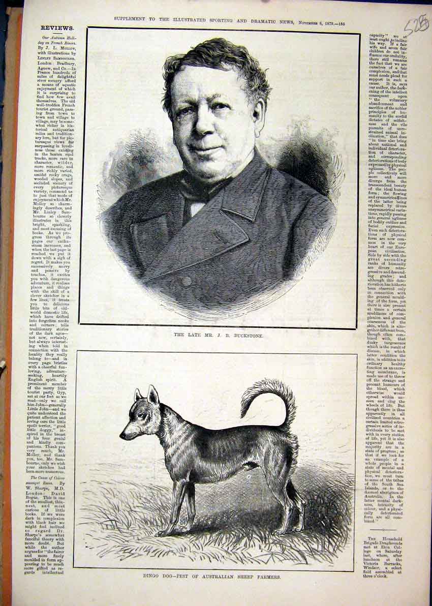 Old Antique Print 1879 Portrait Mr Buckstone Dingo Dog Australia Farmers 19th