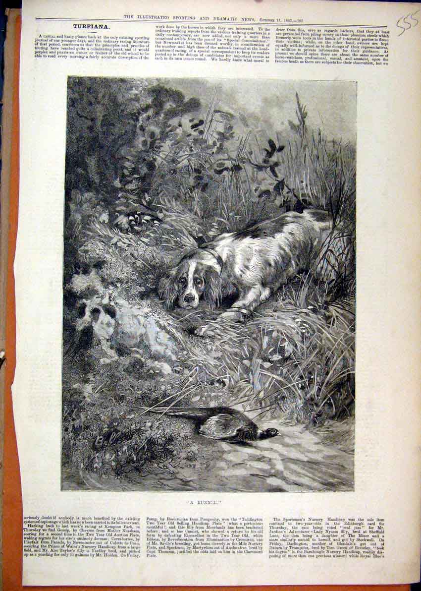 Old Antique Print Country Fine Art 1883 Dog Chasing Pheasant Grass Rocks 19th