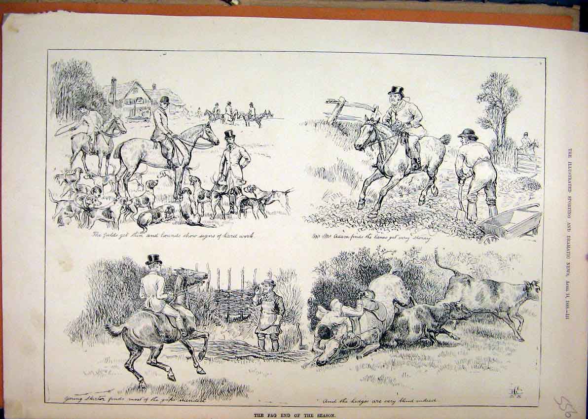 Original Old Antique Print 1888 Hunting Season Hounds Dog Horses Falling Cattle