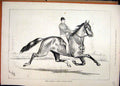 Original Old Antique Print Great Eastern Horse Famous Trotter Man 1877 Victorian