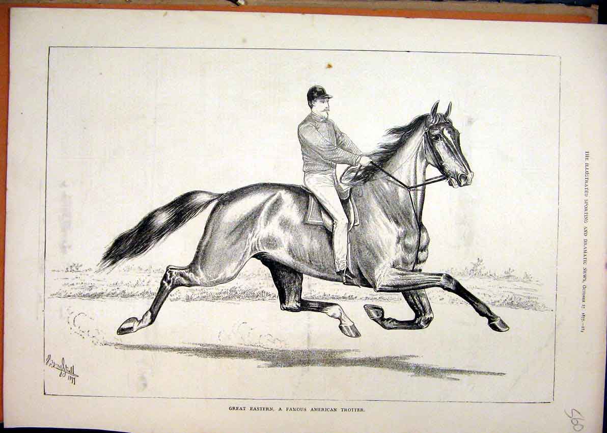 Original Old Antique Print Great Eastern Horse Famous Trotter Man 1877 Victorian