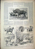 Original Old Antique Print 1893 White-Tailed Gun Drag Meet Horton Manor Slough