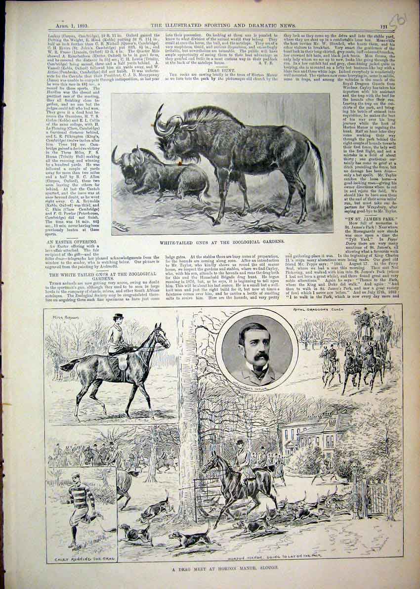 Original Old Antique Print 1893 White-Tailed Gun Drag Meet Horton Manor Slough