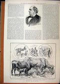 Original Old Antique Print Portrait Barnum 1889 Dairy Show Islington Cow Goat