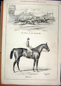 Original Old Antique Print 1877 Horse Racing Hilarious Cesarewitch Macaroon 19th