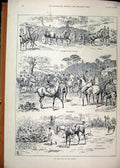 Original Old Antique Print Fox Hunting Season 1895 Horse Carriage Hounds 19th