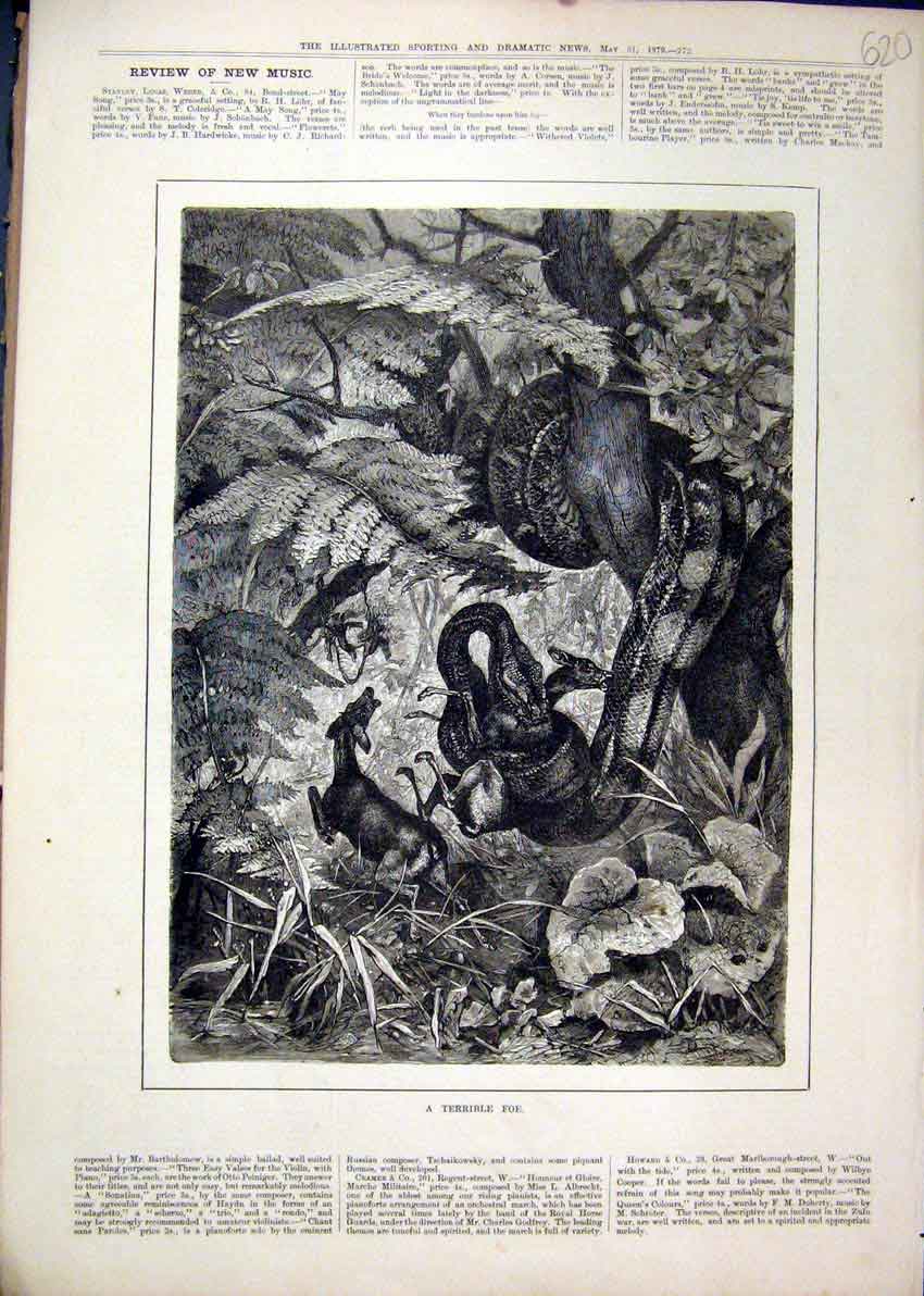 Original Old Antique Print Snake Tree Eating Deer 1879 Country Fine Art 19th