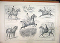 Original Old Antique Print 1895 Horses Hunters Jumping Water Undocked Tail 19th