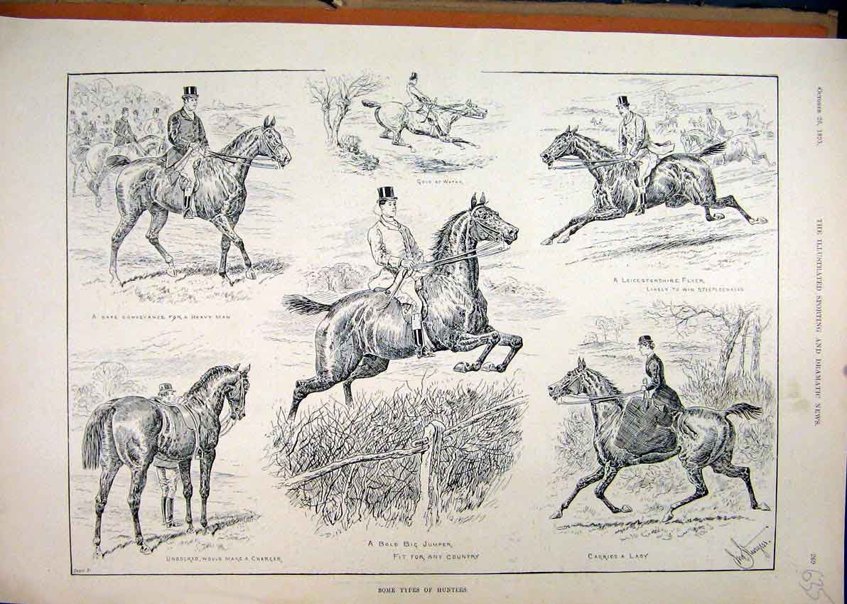 Original Old Antique Print 1895 Horses Hunters Jumping Water Undocked Tail 19th