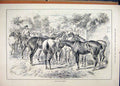 Original Old Antique Print Horse Slave Market 1884 Sale Country Lane Victorian