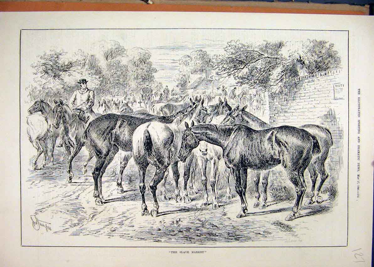 Original Old Antique Print Horse Slave Market 1884 Sale Country Lane Victorian
