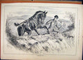 Original Old Antique Print 1883 Man Horse Jumping Fence Country Scene Victorian