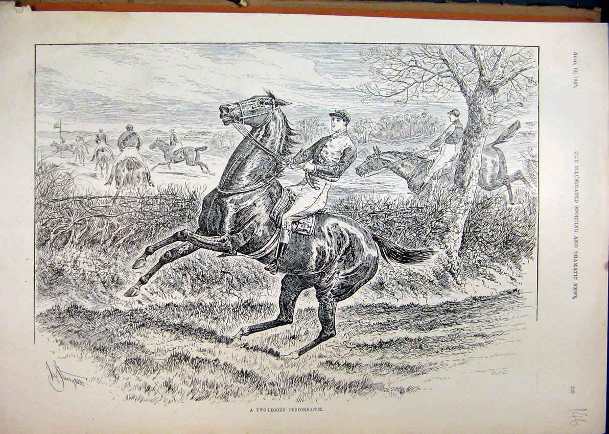Original Old Antique Print 1896 Horse Jumping Refusing Fence Country Scene 19th