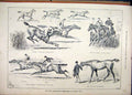 Original Old Antique Print 1889 Grand International Steeplechase Sandown Horse