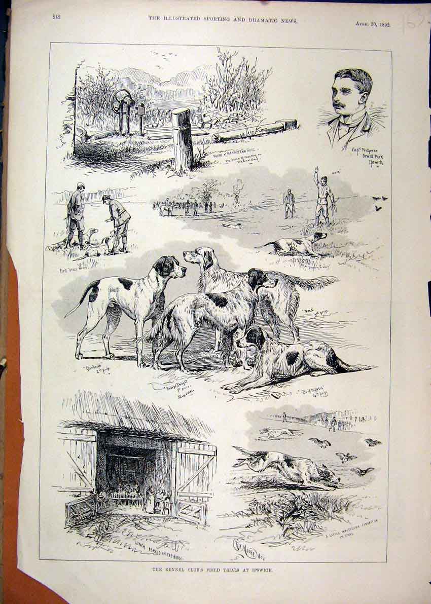Original Old Antique Print 1892 Kennel Club Field Trials Ipswich Dogs Pretyman