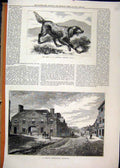 Old Antique Print Newmarket Hostelry Rutland Arms 1877 Loftus Nell Setter 19th