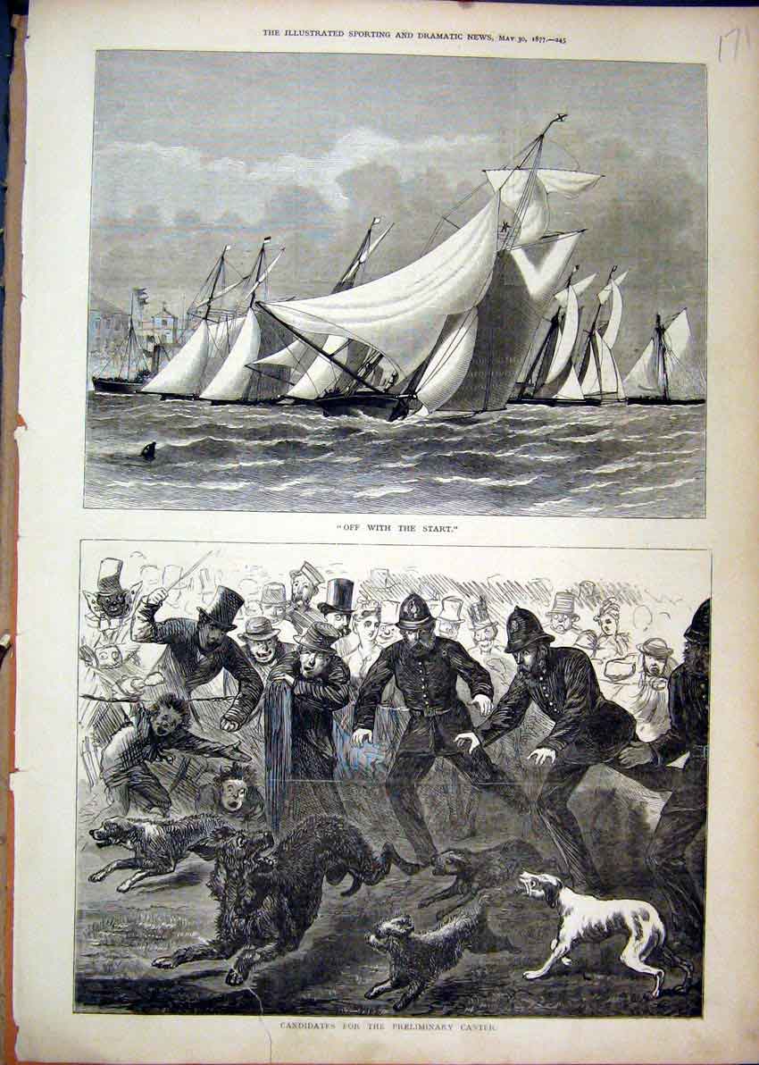 Old Antique Print 1877 Policemen Chasing Dogs Street Sailing Yachts Boats 19th
