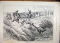 Original Old Antique Print 1896 Kangaroo Hunting Australia Men Horses Dogs 19th