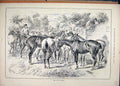 Original Old Antique Print Horses Sale Slave Market 1884 Country Lane Victorian