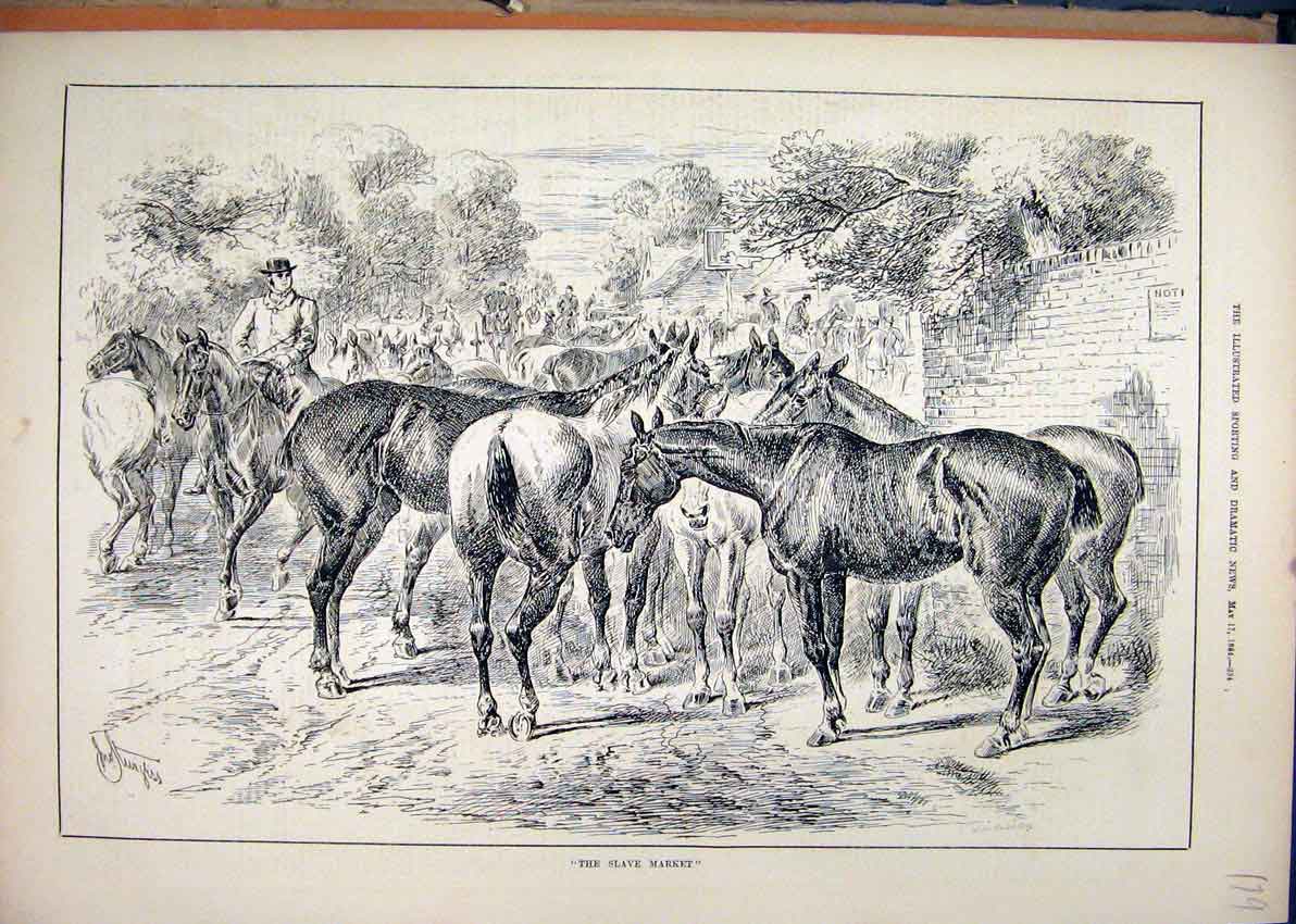 Original Old Antique Print Horses Sale Slave Market 1884 Country Lane Victorian