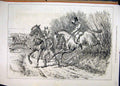 Original Old Antique Print 1877 Horses Jumping Fence Landing Man Country Scene