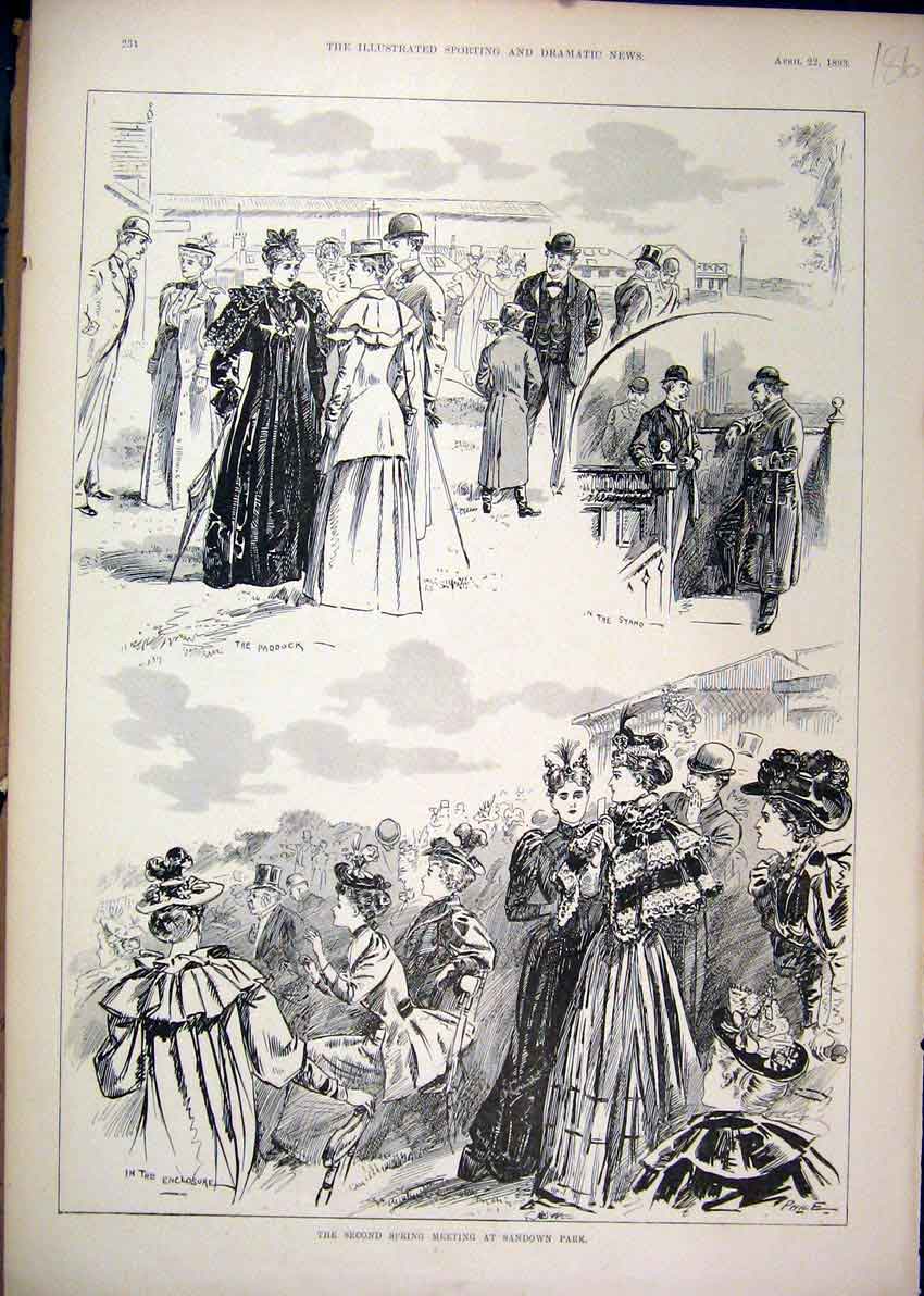 Original Old Antique Print 1893 Spring Meeting Sandown Park People Paddock Stand